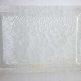 Plexiglass tray