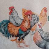 Coqs et poules