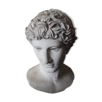 Bust of plaster 19th