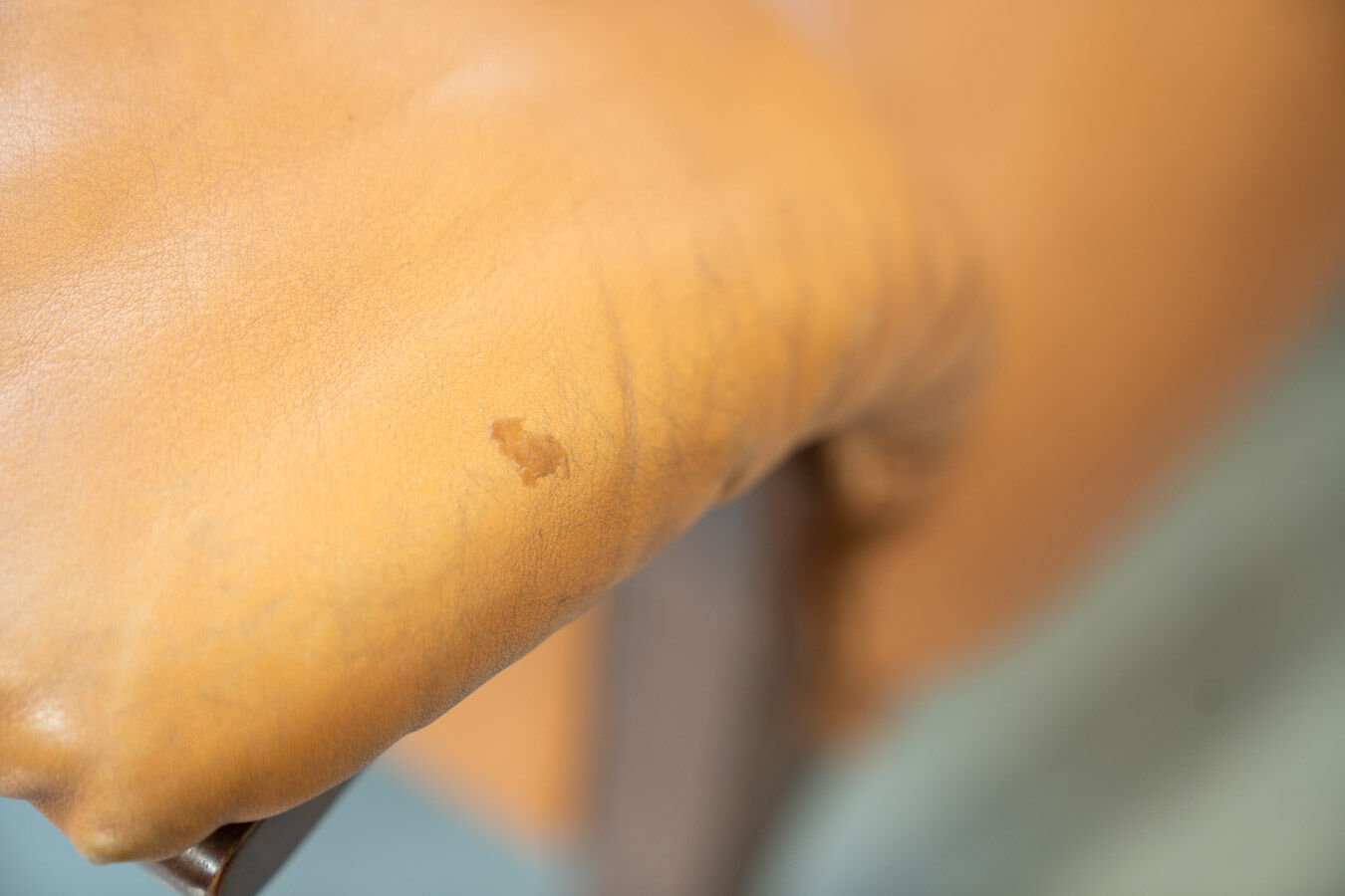 Canapé Frau En cuir couleur cognac 1980/1990