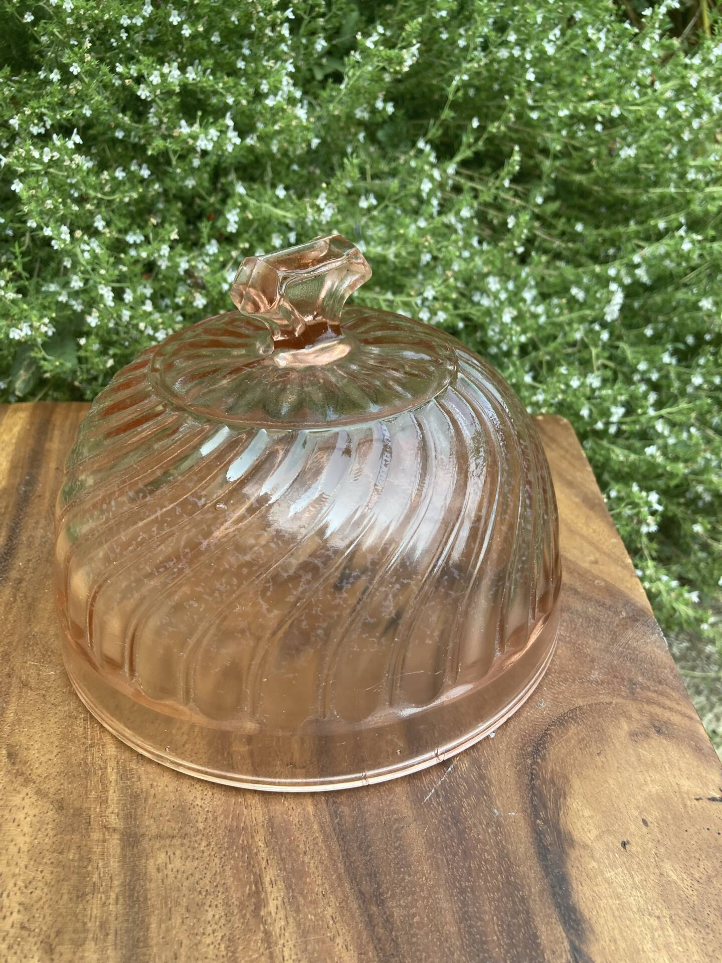 Cheese dome in Rosaline