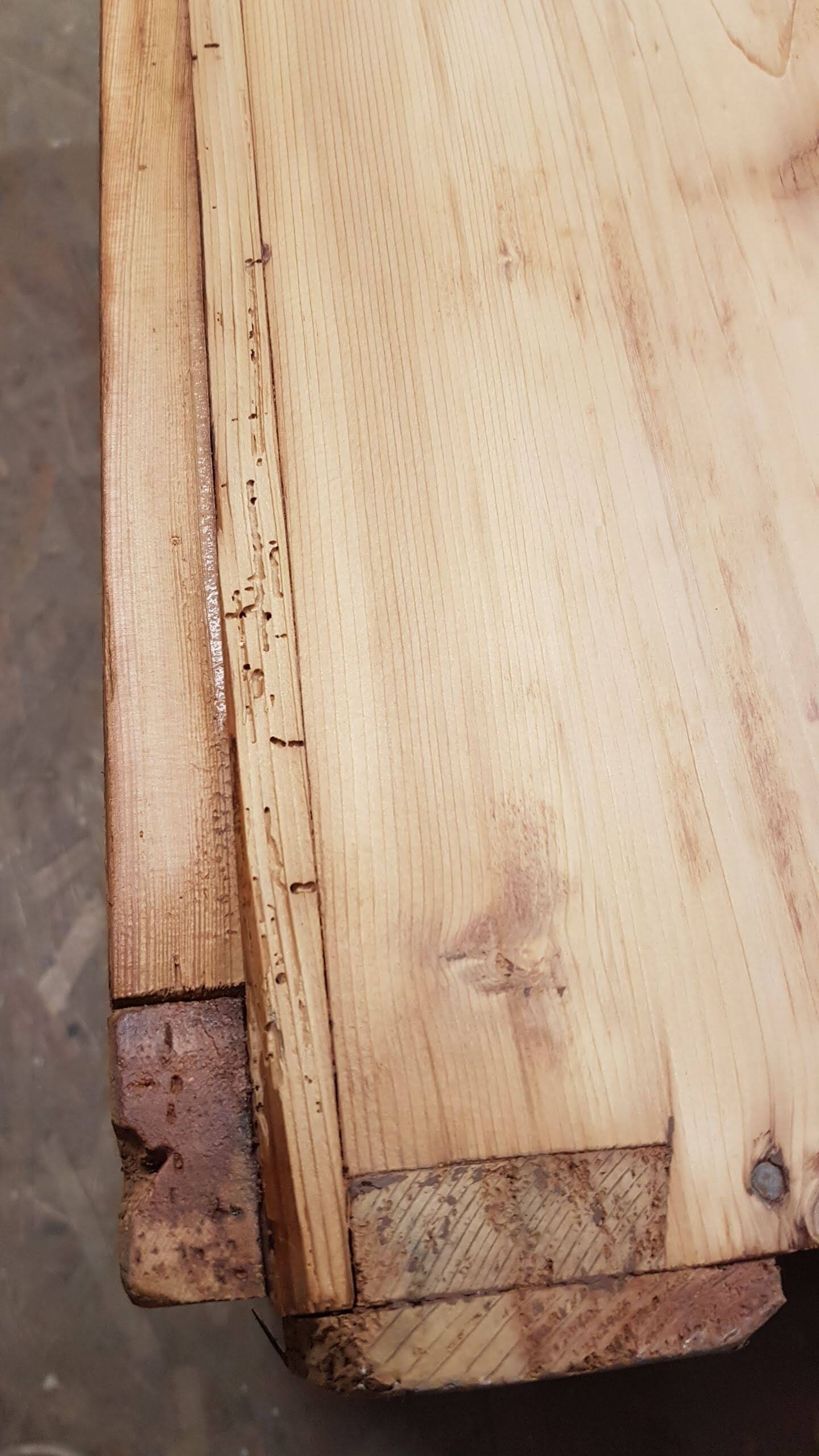 Old curved travel trunk, in pine, stripped 98x60x65