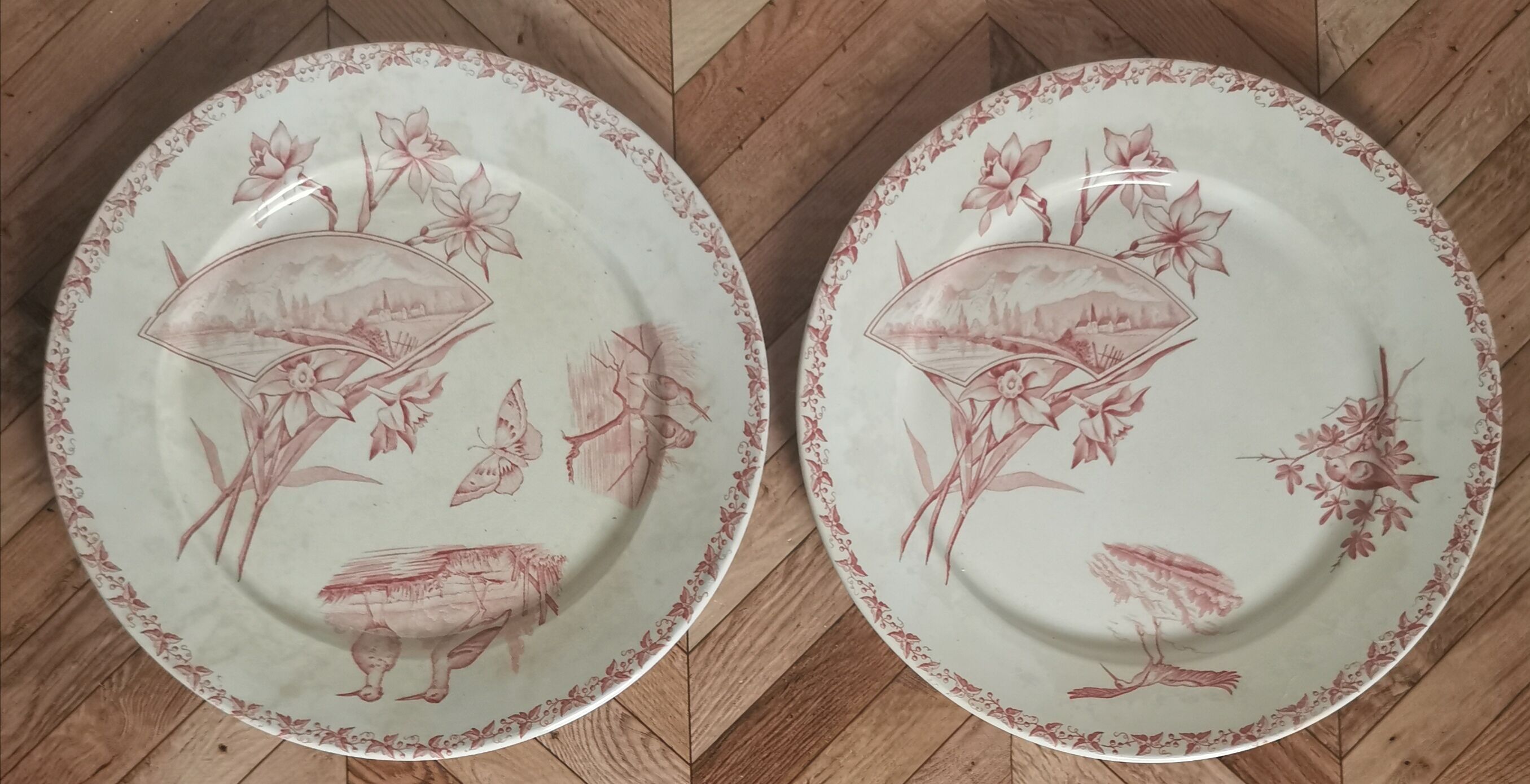 Old plates badonvillier Screen