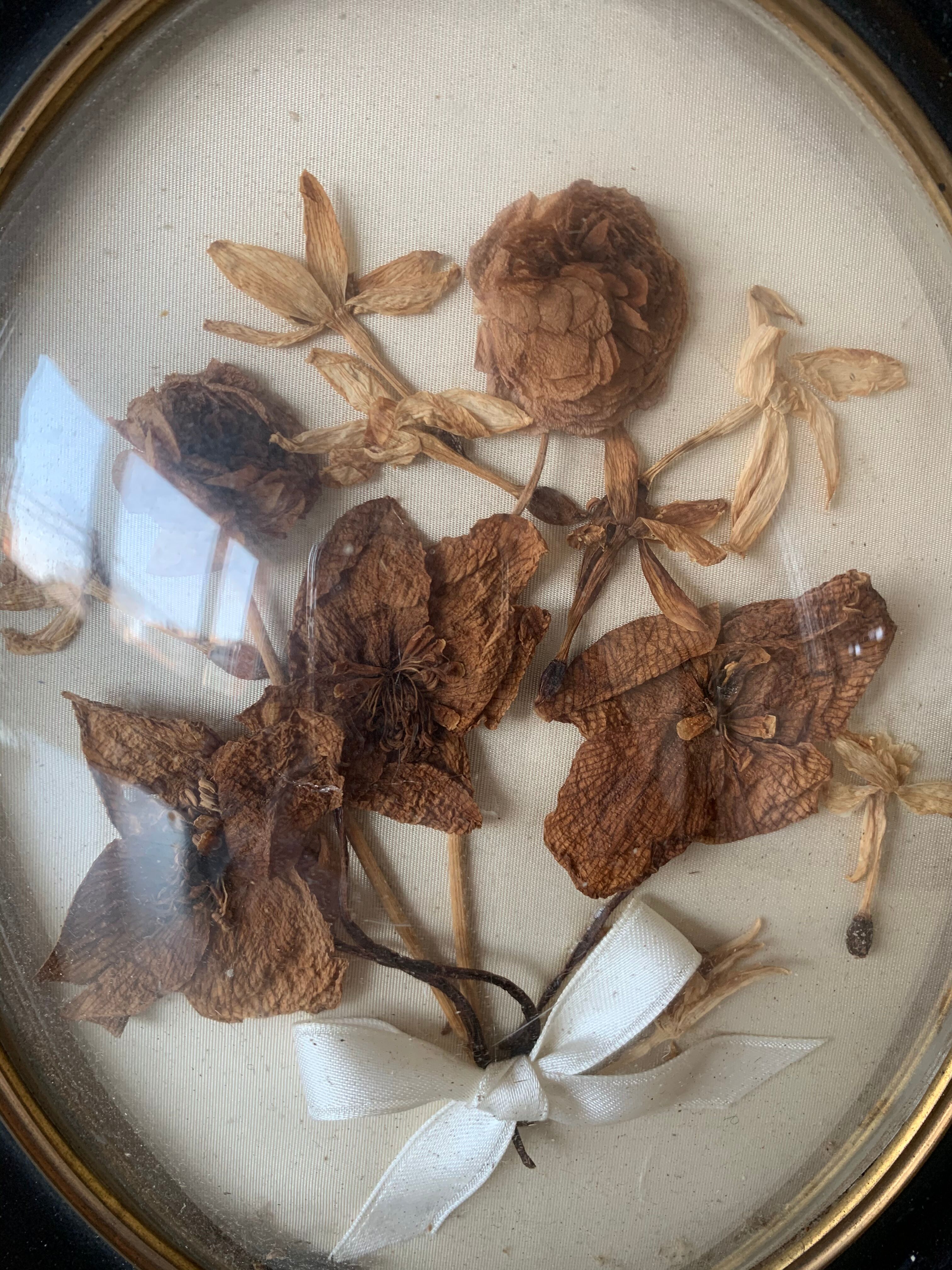 Herbier avec cadre Napoléon III