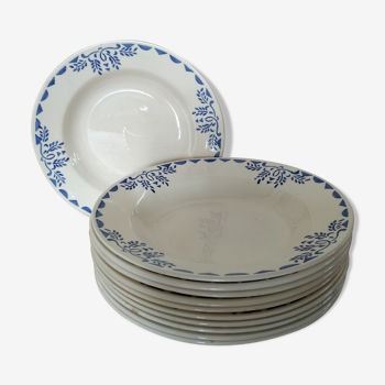 Set de 11 assiettes creuses sarreguemines