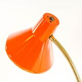 Lamp Hala Zeist 60s