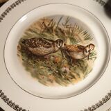 Game plates pl france