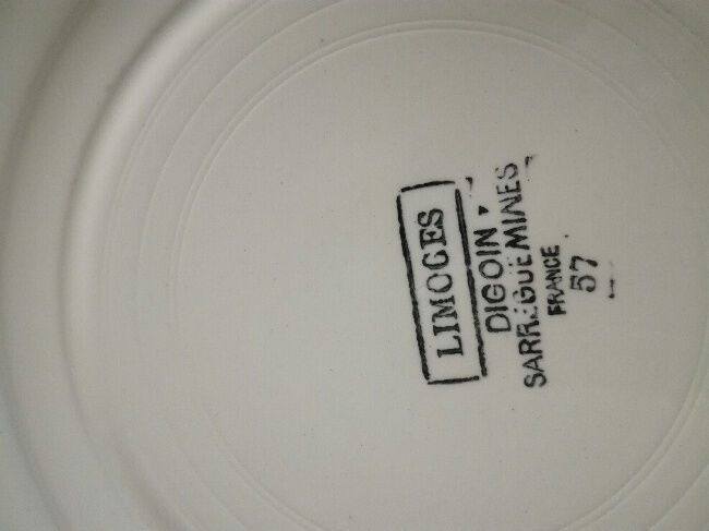 Dinner plates digoin