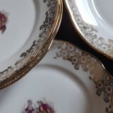 Pastry service / cake 10 dessert plates + 1 main course - FD Chauvigny - France