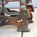 Skeleton beak balance the parisian Testut ancient maraicher epicier