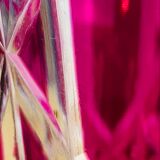 Crystal vase of Saint Louis red