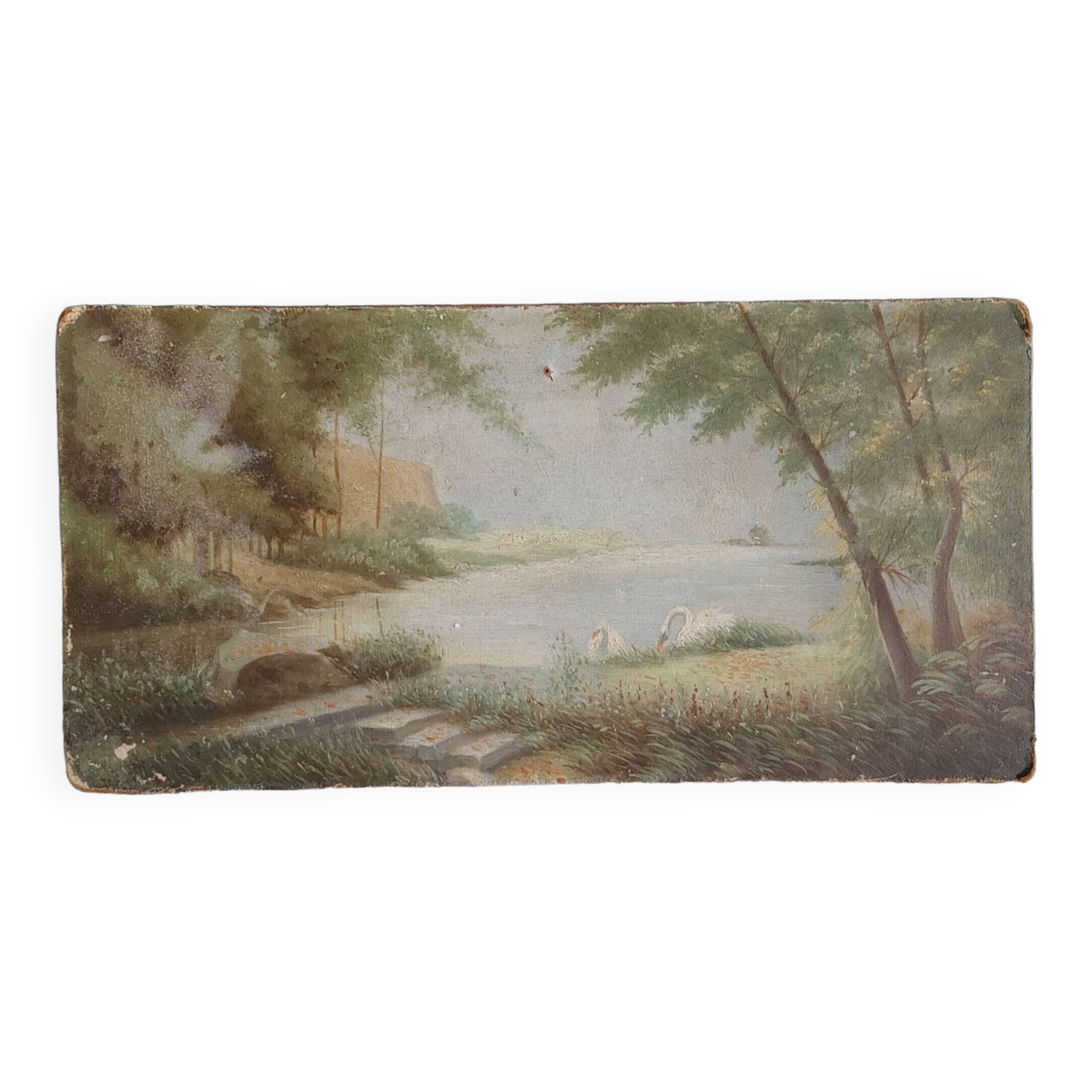 Old oil on rigid cardboard depicting swans on the water