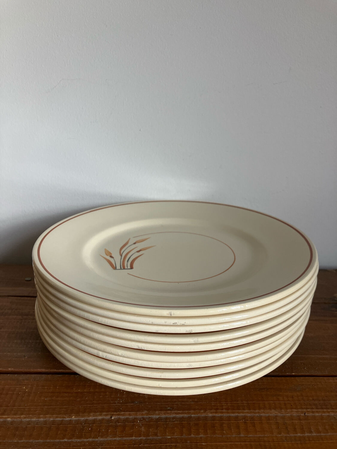 10 assiettes à dessert 