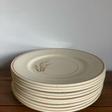 10 assiettes à dessert 