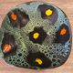 Square shallow dish Vallauris Fat Lava glaze sea foam vintage 1960s