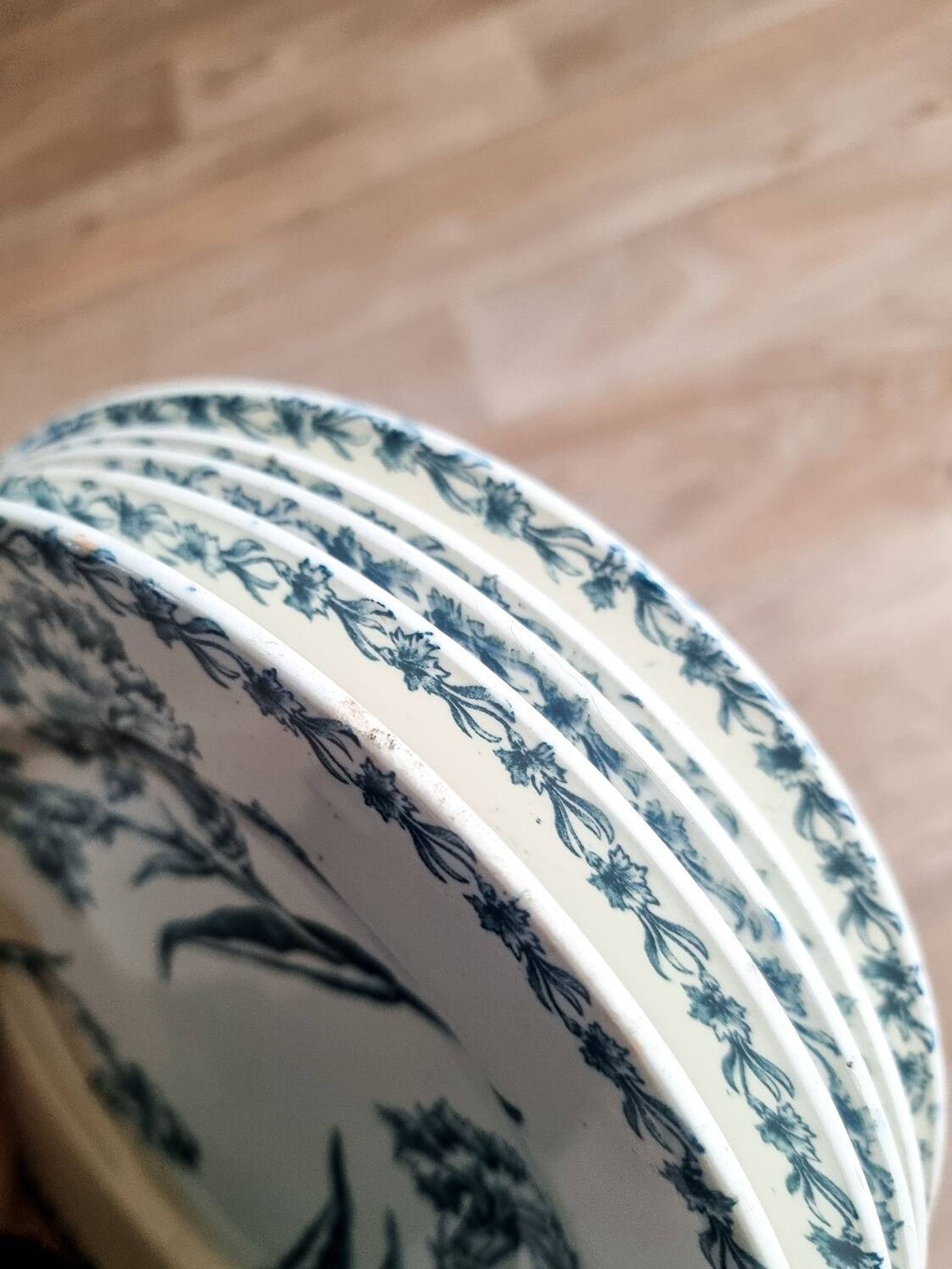 5 iron earthenware flat plates, KG Lunéville, Oeillet, 1900