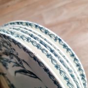 5 iron earthenware flat plates, KG Lunéville, Oeillet, 1900