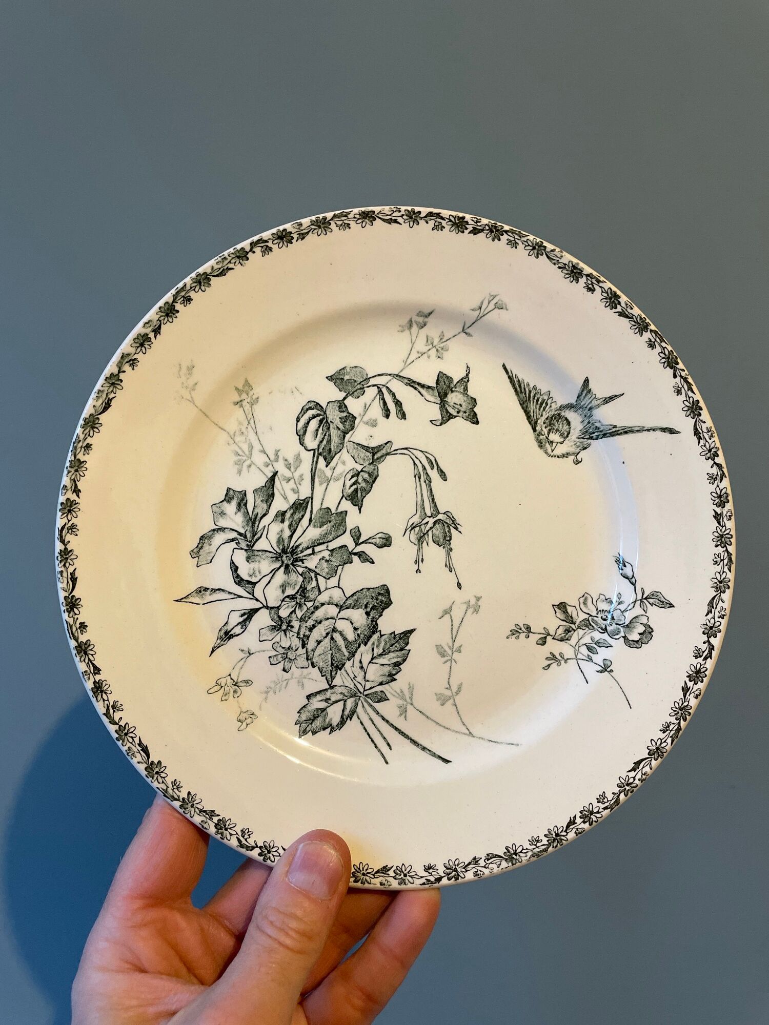 Set of 12 Terre de Fer dessert plates Grand Dépôt E.Bourgeois