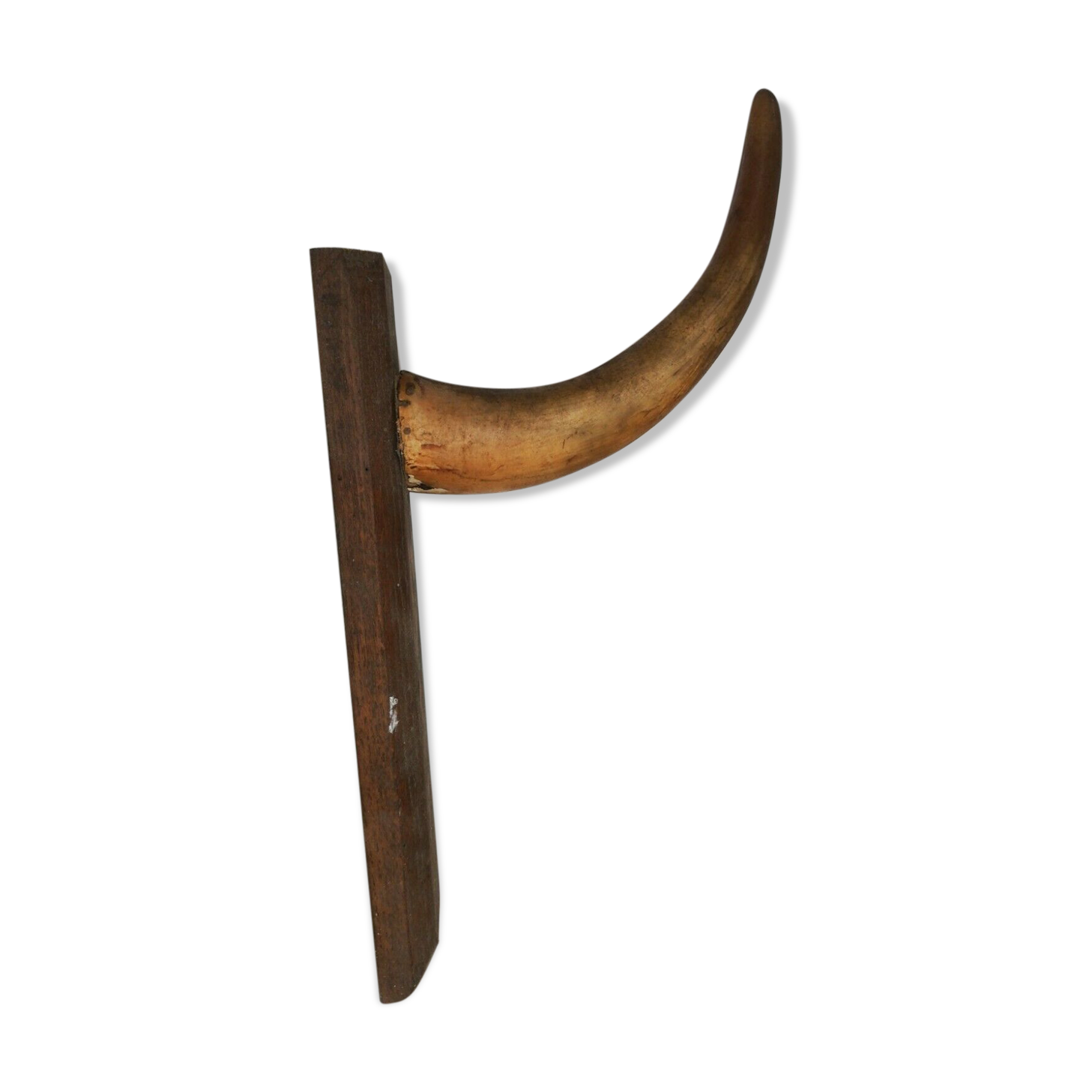 Cow horn coat holder