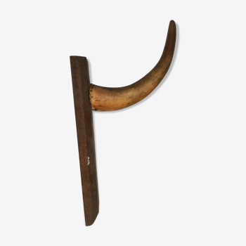 Cow horn coat holder