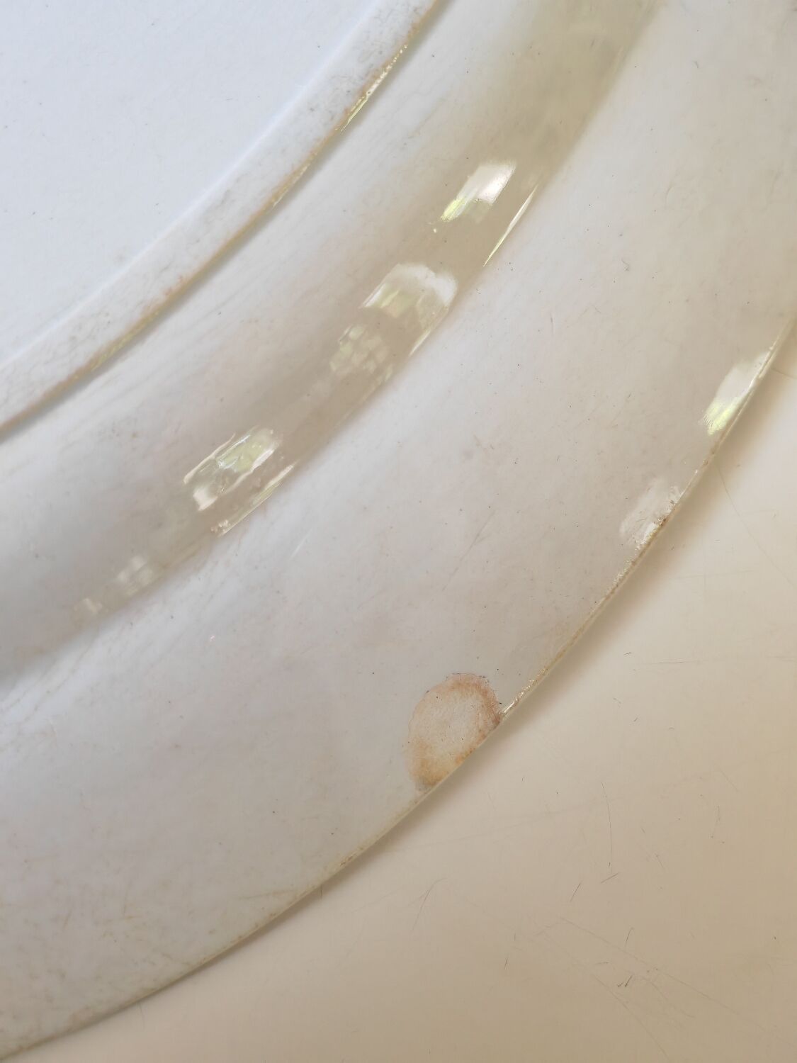 Dish bindweed Pexonne