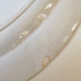 Dish bindweed Pexonne
