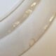 Dish bindweed Pexonne