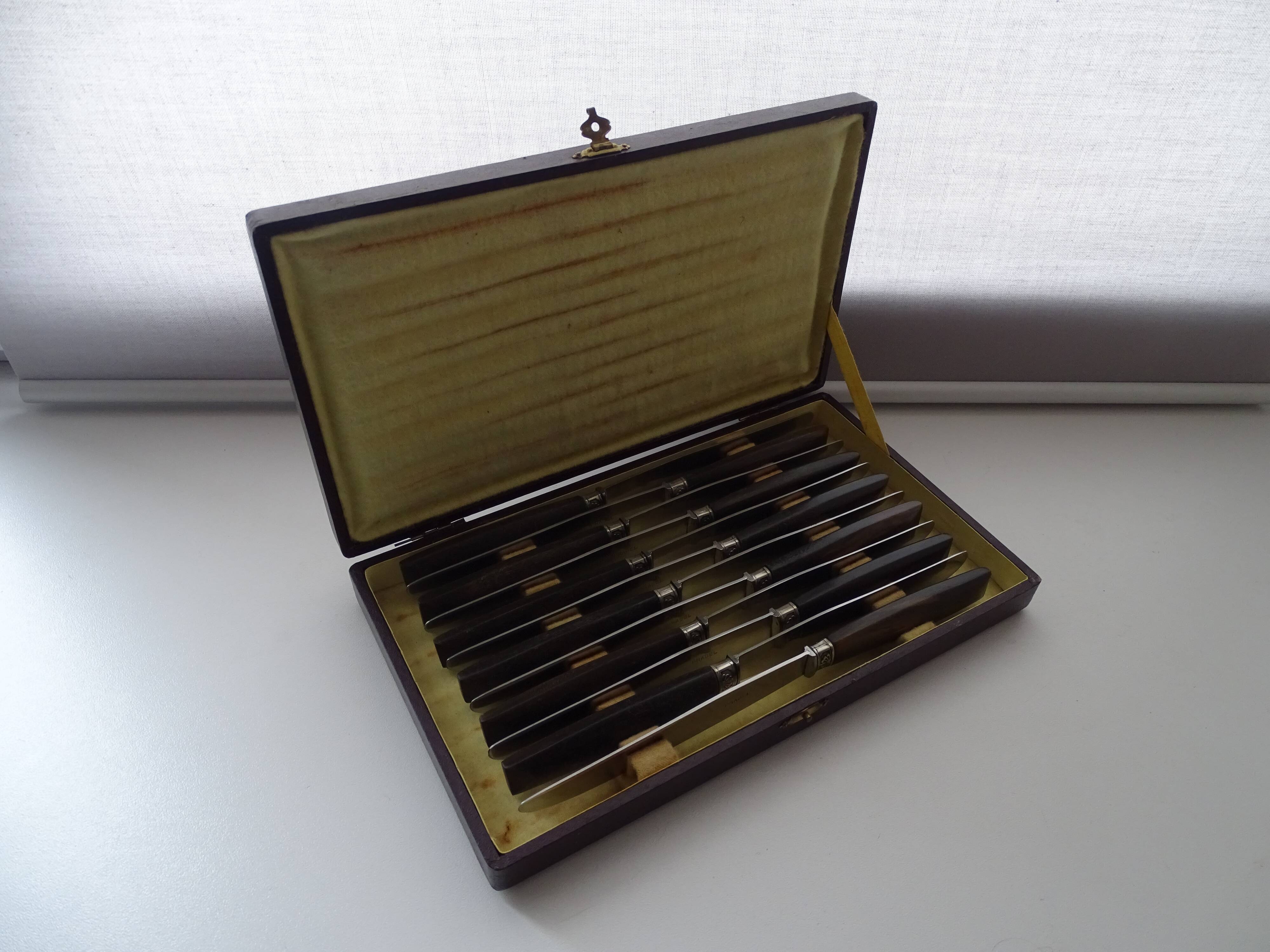 12 vintage dessert knives Pradel horn sleeves in case