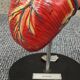 Curiosity Anatomy crocodile heart resin Czech Republic 1970