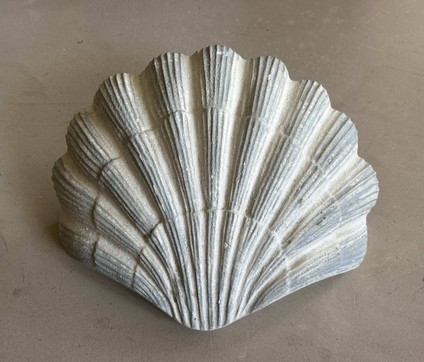 Applique coquillage en plâtre ancienne