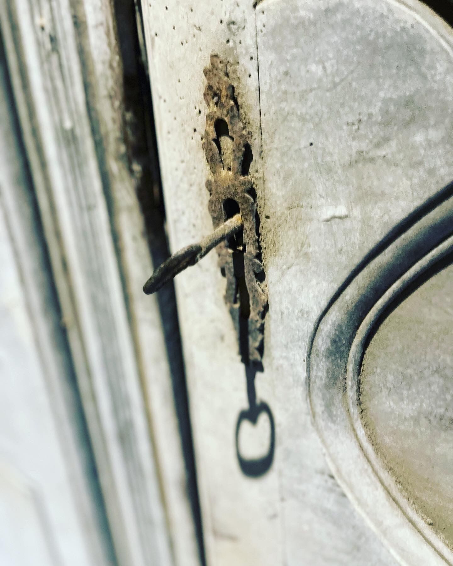 Paire de portes en chataignier XVIIIème siècle