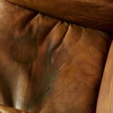 Ilona armchair by Arne Norell for Aneby Møbler