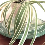 Ceramic trivet signed by Patrick Protet