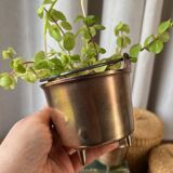 Duo of brass planters with handle