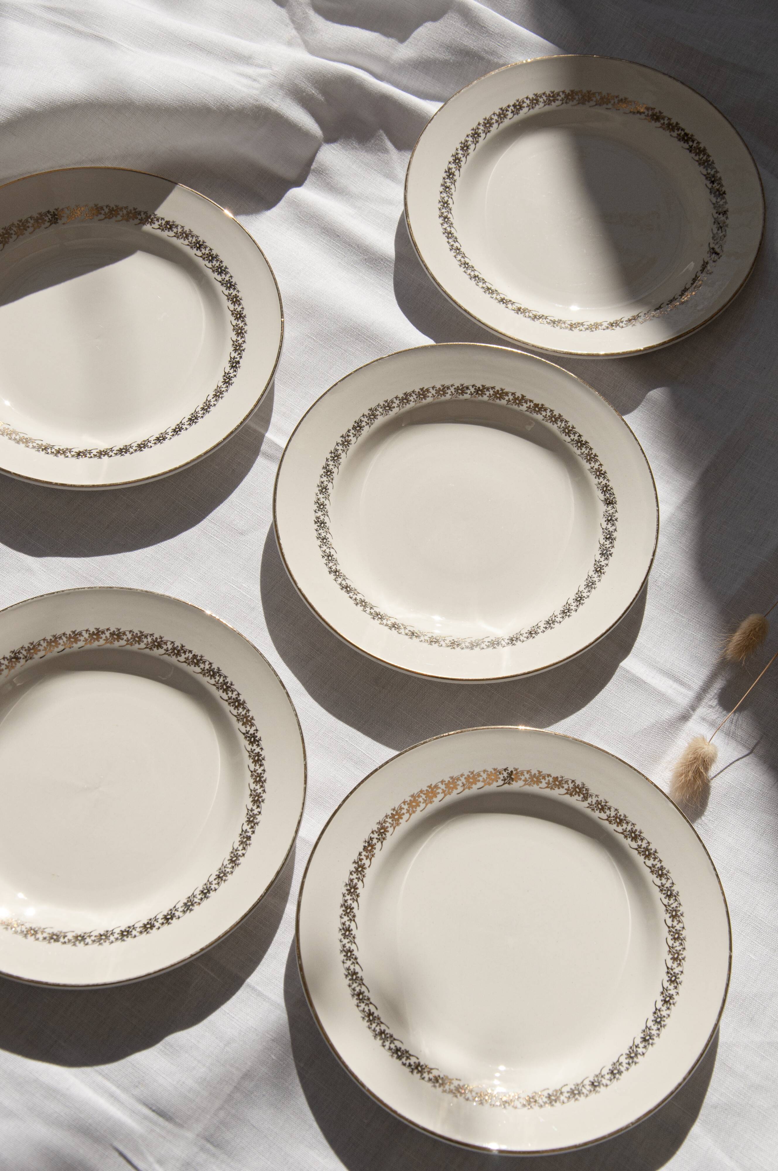 Flat plates Digoin & Sarreguemines