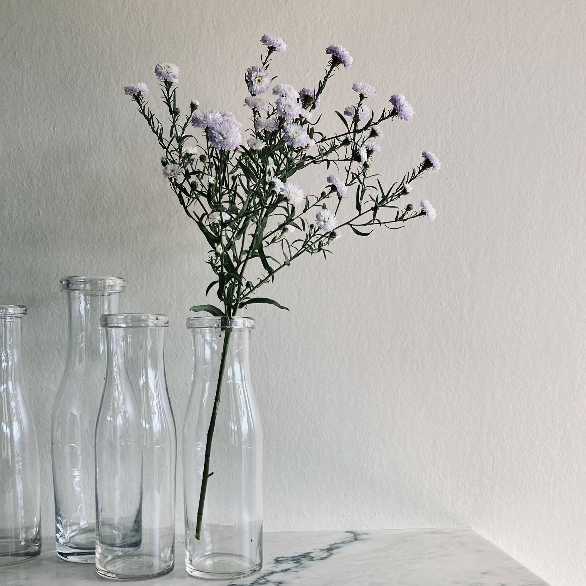 Bouteille de lait, vase