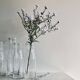Bouteille de lait, vase