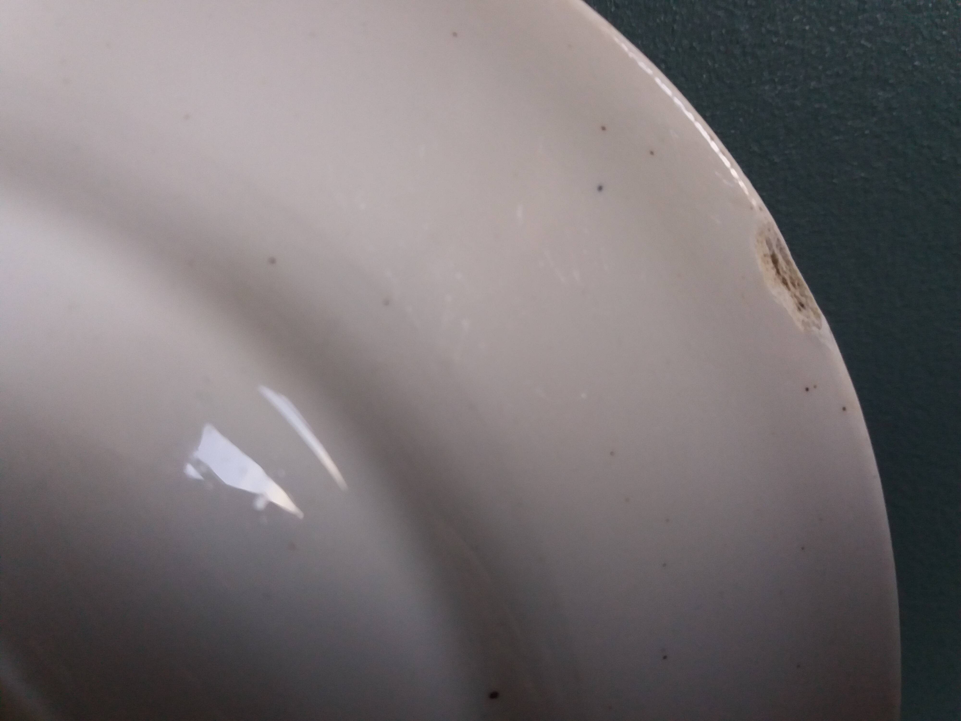 Oval ironstone platter, Clairefontaine, carnation decoration