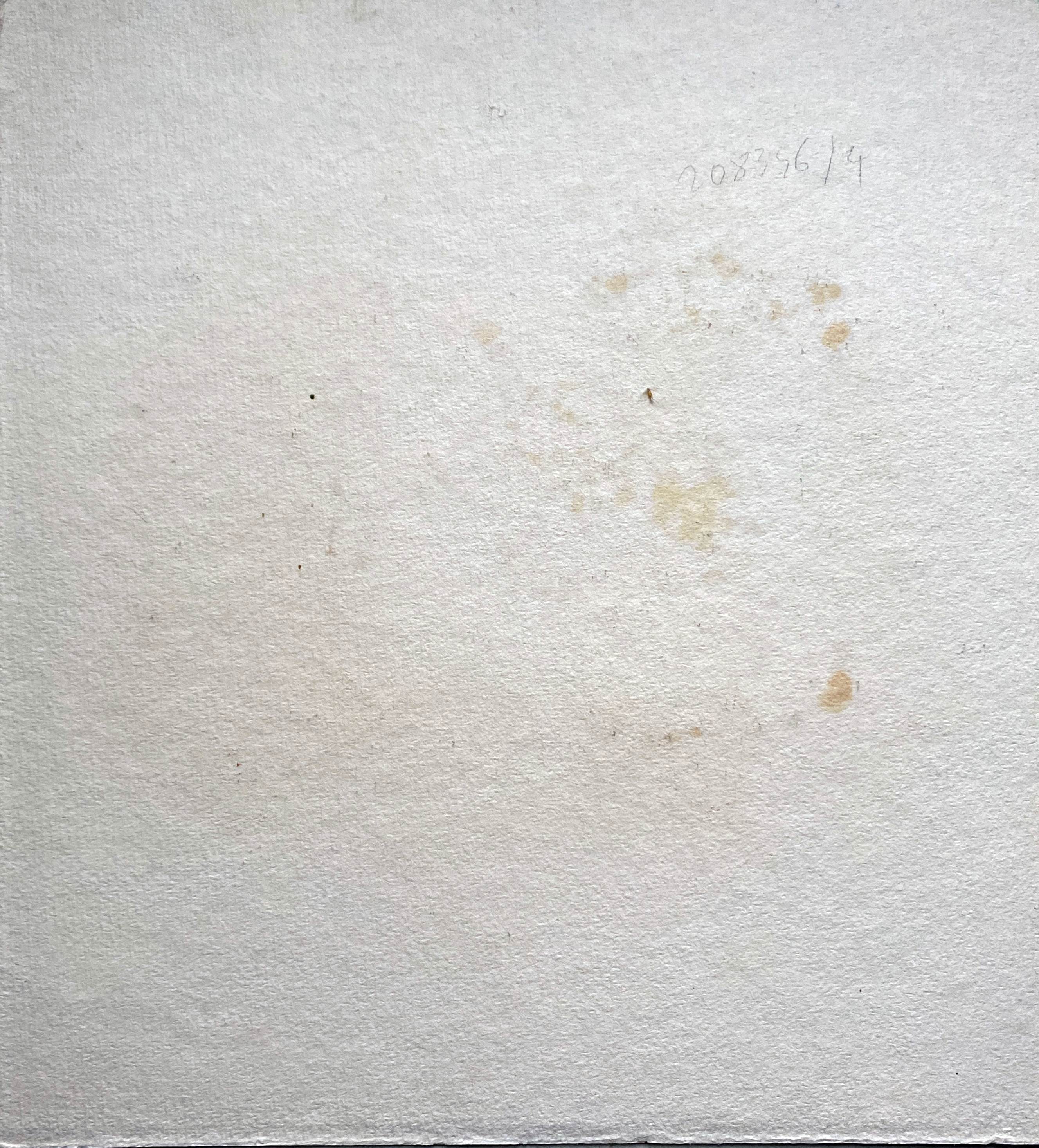 Table "The cyclist" HSP cycling sport by J.M. Brossat