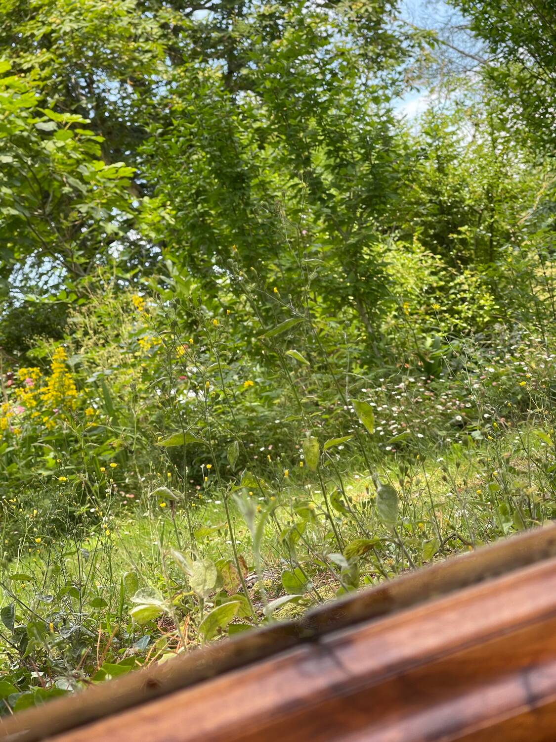 Antique solid wood mirror