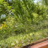 Miroir ancien en bois massif