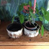 Pair of pot covers