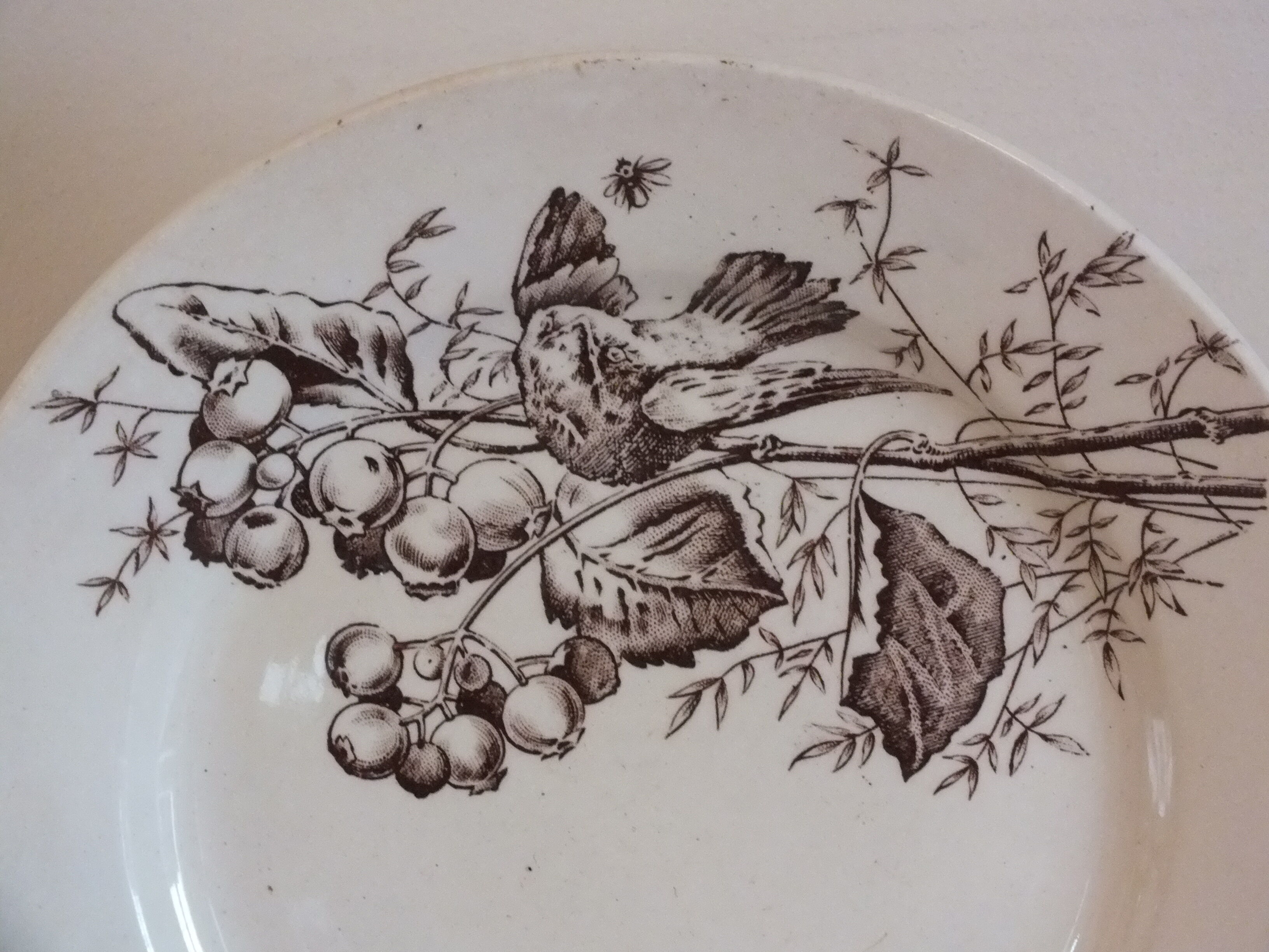 3 plates with hors d'oeuvre in Terre de Fer HB Choisy bird decoration