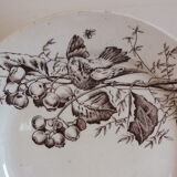 3 plates with hors d'oeuvre in Terre de Fer HB Choisy bird decoration