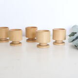 Set of 5 cockroaches on their wooden, vintage support