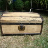 Old bulging trunk