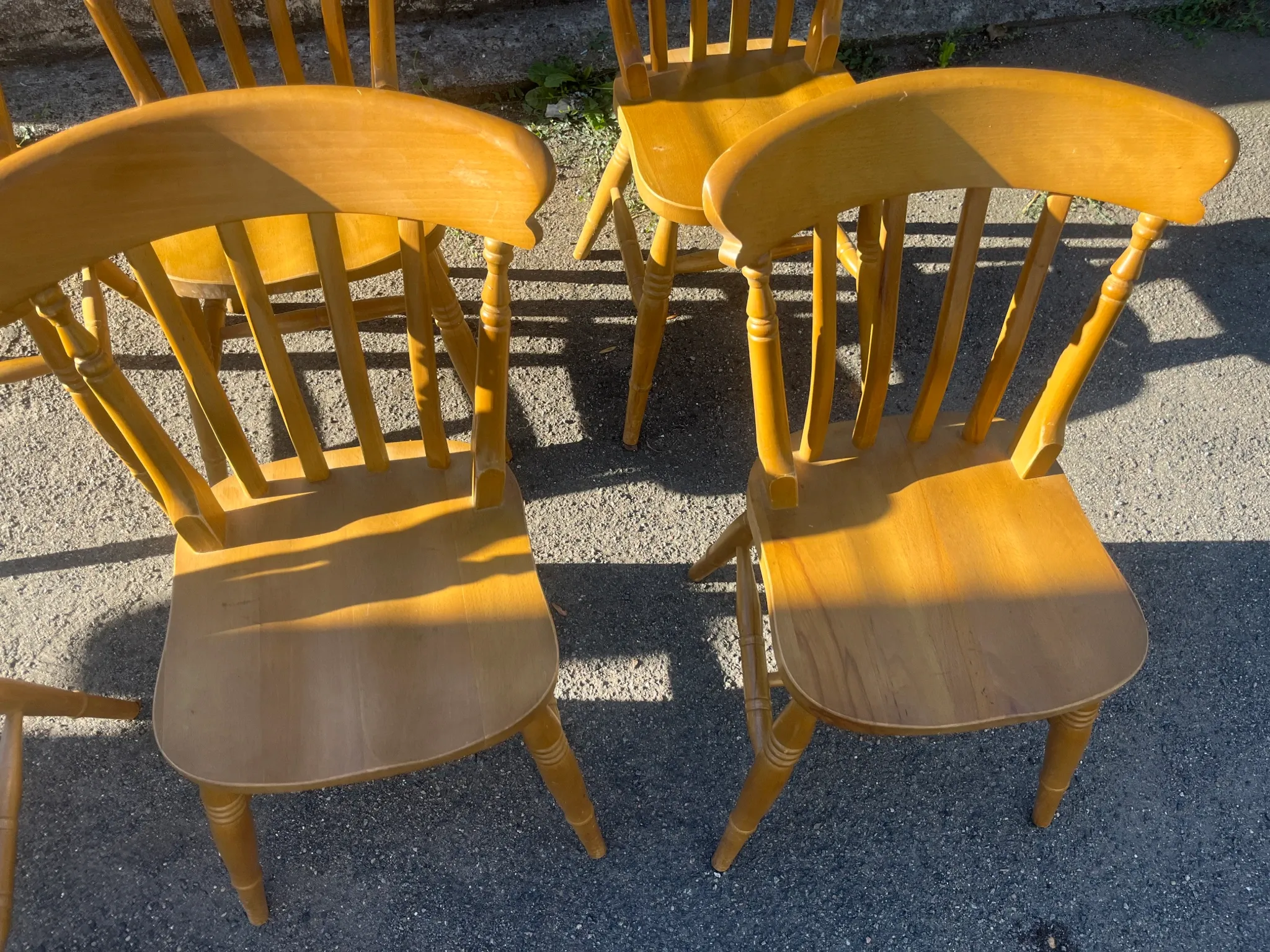 Set of 6 Interior's chairs in solid pine – Honey colour