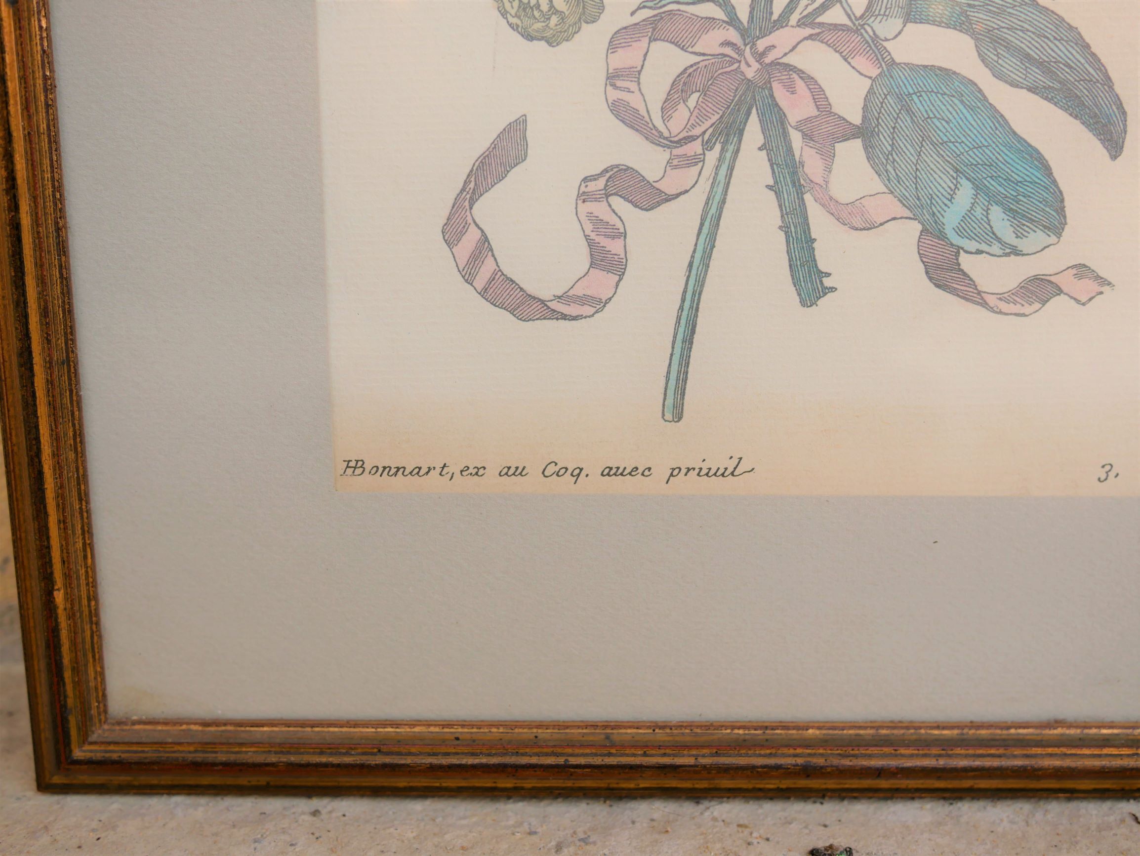 Vintage botanical poster