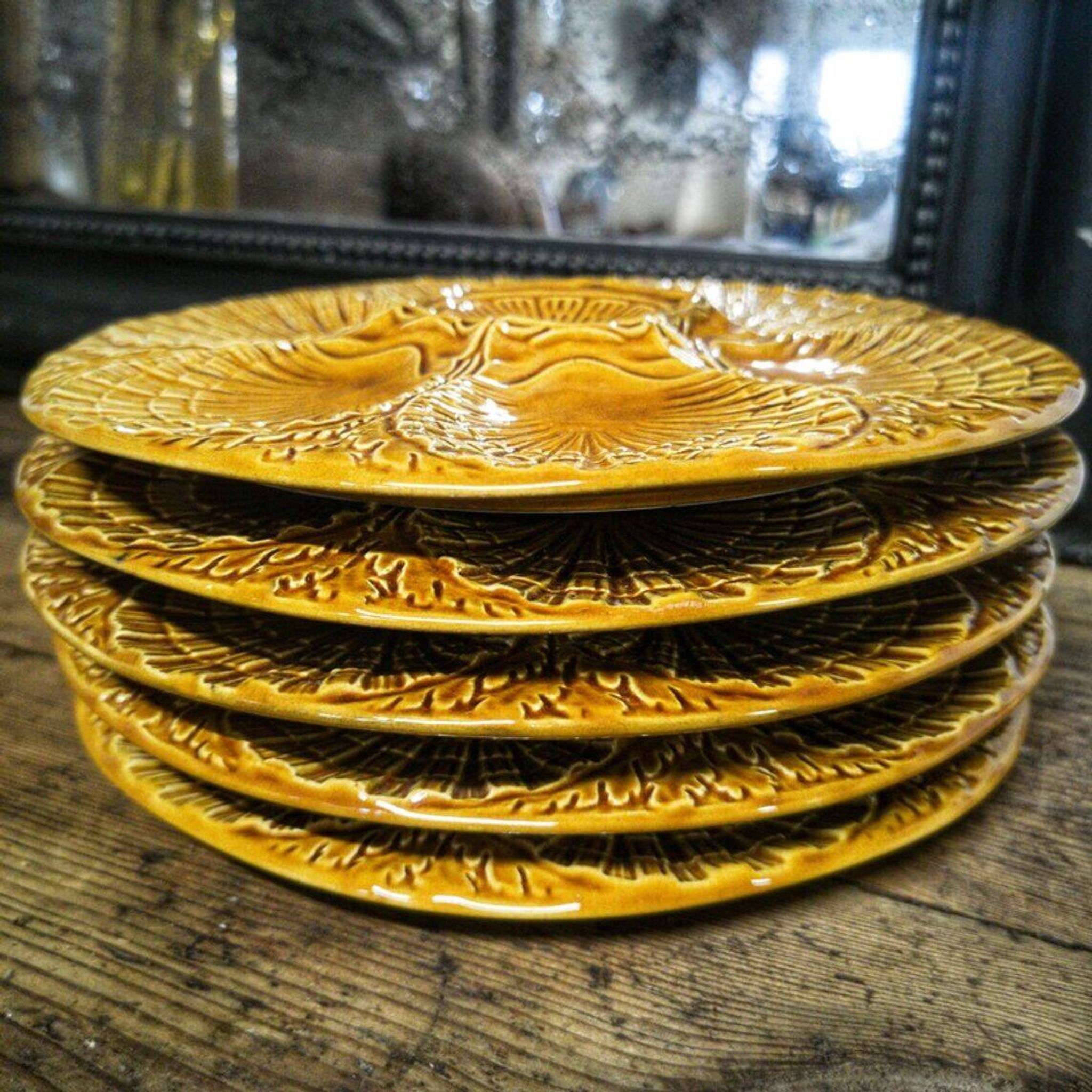 5 oyster plates in barbotine