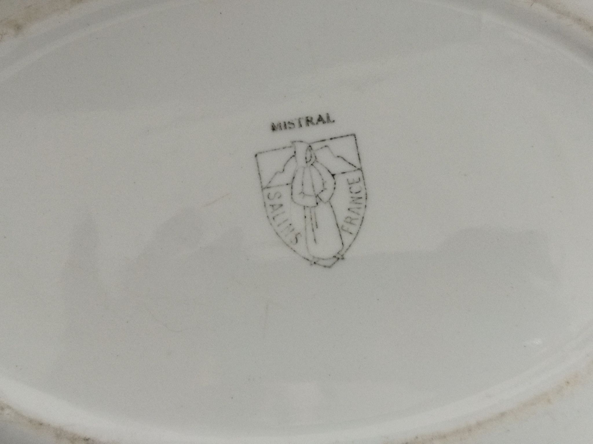 Dish and sauce boat Mistral Salins France